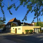 Hasi 2 Am Kurpark