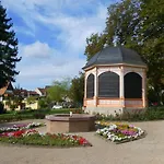 Hasi 2 Am Kurpark