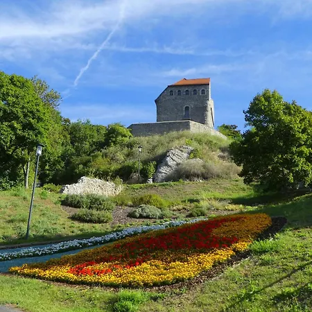Hasi 2 Am Kurpark Bad Frankenhausen