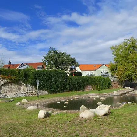 Hasi 2 Am Kurpark Bad Frankenhausen