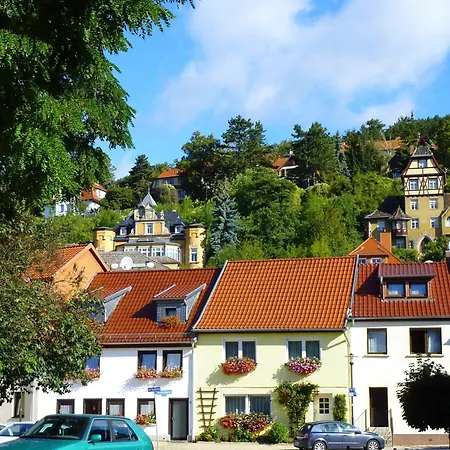 Hasi 2 Am Kurpark Bad Frankenhausen