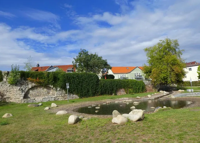Hasi 2 Am Kurpark Bad Frankenhausen