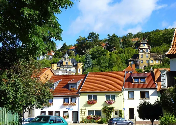 Hasi 2 Am Kurpark Bad Frankenhausen